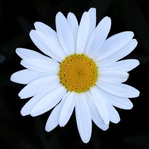 Meet your Posher, Katelyn